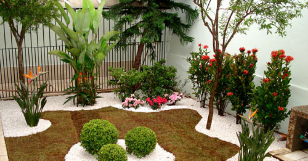 8 Dicas de jardinagem para iniciantes saiba o que não pode faltar