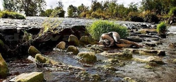 Desafio Encontre As Mulheres Camufladas Em Paisagens Exuberantes