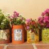 17 Ideias de vasos e cachepôs baratos e criativos para suas plantas