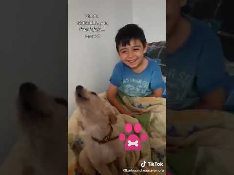 Perrito canta cumpleaños feliz