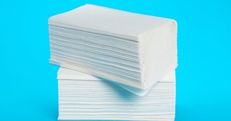 Coisas que você não deve limpar com papel higiênico ou papel-toalha