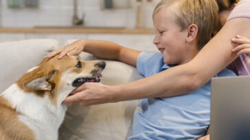 Coração de cães acelera quando escutam eu te amo