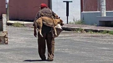 Homem carrega cachorro nas costas para evitar que ele queime as patinhas