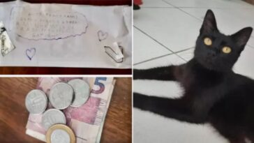 Menina doou mesada para ajudar gatinhos resgatados