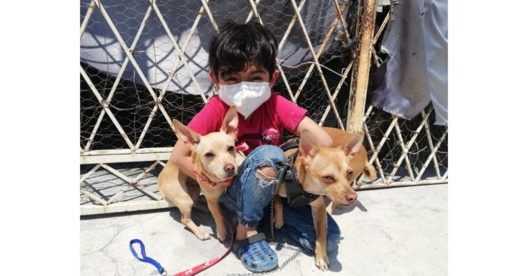 Menino de 7 anos abre pet shop enquanto sonha ser veterinário