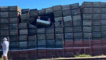 Motorista perde o controle e carro voa 5 metros dentro de armazém de frutas