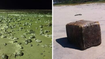 Objetos misteriosos que apareceram nas praias brasileiras