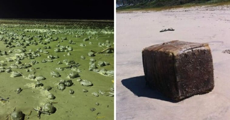 Objetos misteriosos que apareceram nas praias brasileiras