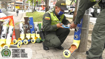 Policiais fazem comedouros de cachorro na rua para ajudar animais abandonados