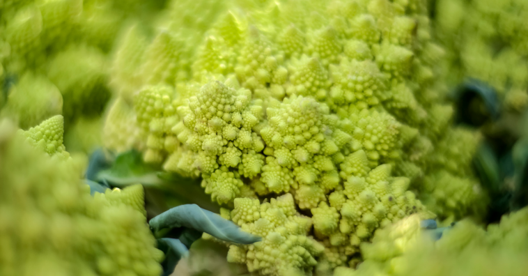 Vegetais bonitos para decoração da casa e do jardim