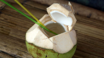 beber água de coco