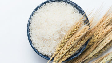 óleo de arroz para beleza