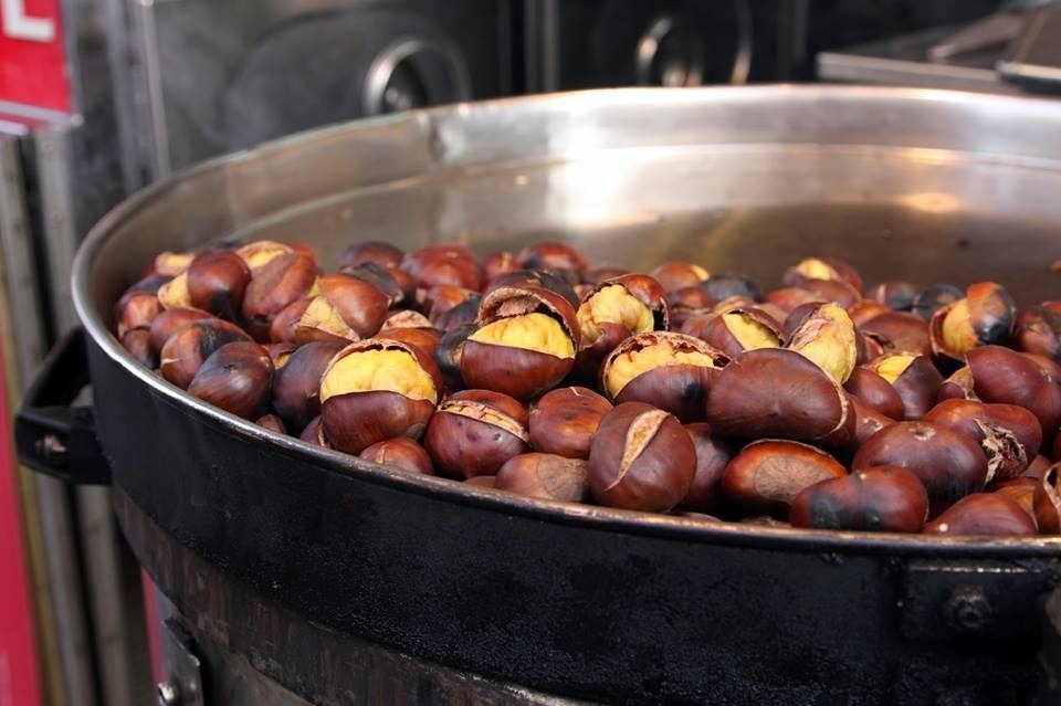 Castanha portuguesa benefícios e como cozinhar