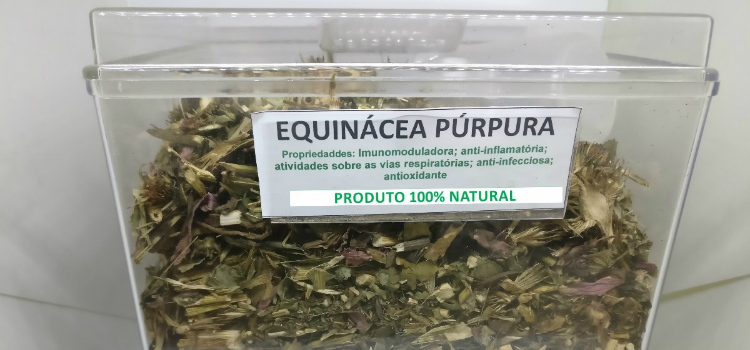 chá de equinácea benefícios