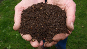 como fazer adubo organico