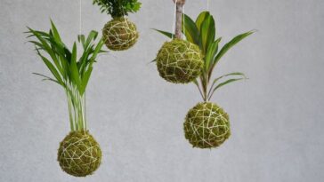 como fazer kokedama em casa