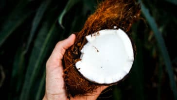 como fazer óleo de coco caseiro e natural