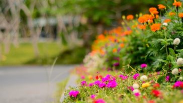 como ter jardim bonito