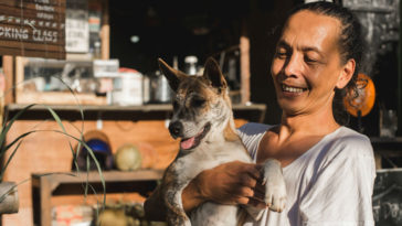 cães diminui risco de morte