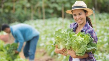 delivery aumenta vendas de produtores de orgânicos