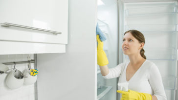 limpar e organizar freezer