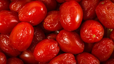 goji berry emagrece