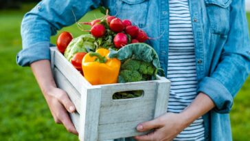 frutas e verduras fáceis de plantar