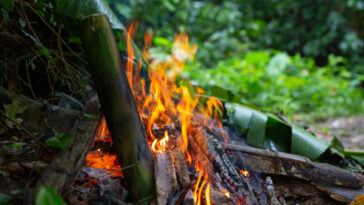 fumaça de queimadas