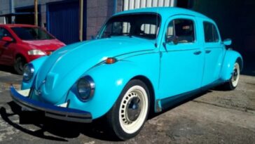 fusca