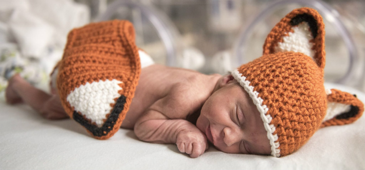 hospital vestiu bebês para o halloween raposa