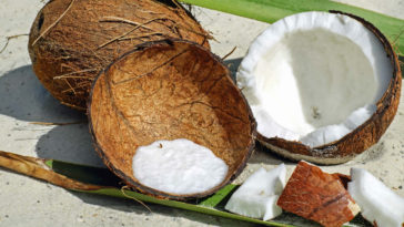 manteiga de coco benefícios e como fazer