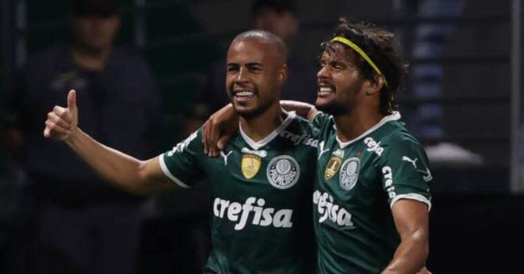 palmeiras