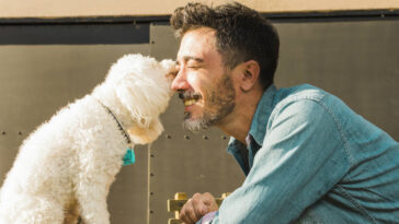 personalidade dos cachorros parece com a dos donos