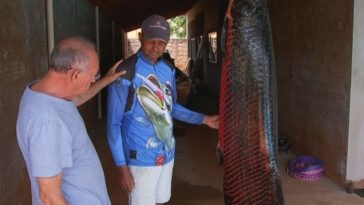 pescador pega piracucu com mais de cem quilos