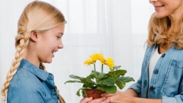 plantas para dar de presente