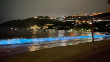 praia volta a brilhar em acapulco