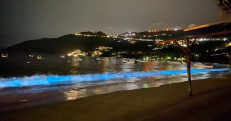 praia volta a brilhar em acapulco