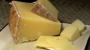 queijo cheddar caseiro