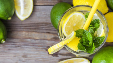 receitas de limonada suíça