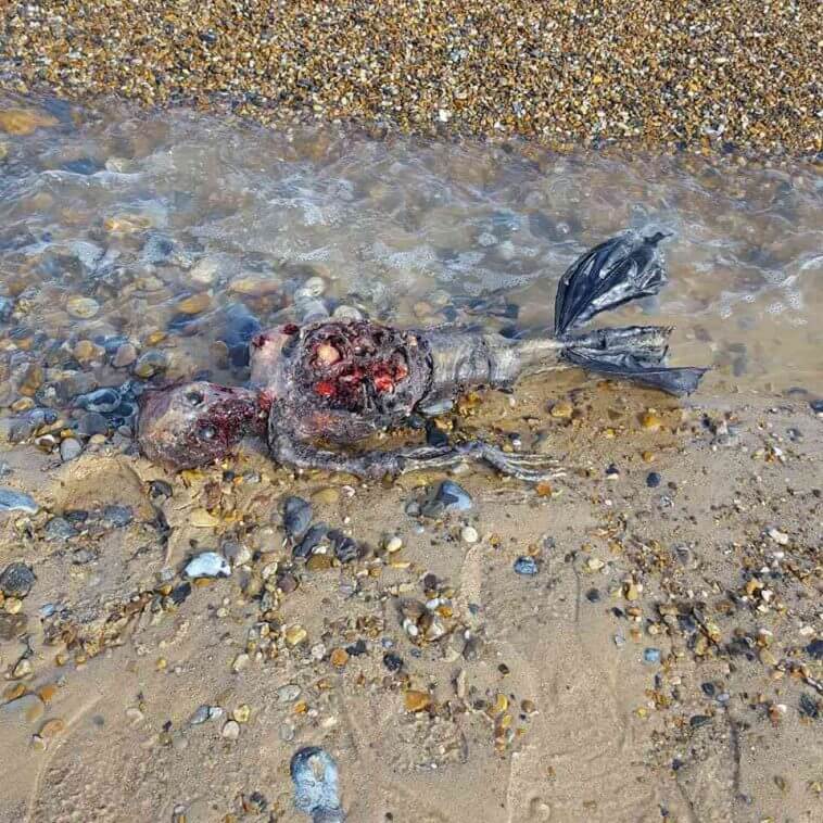 Corpo de 'sereia' encontrado em praia na Inglaterra intriga internautas