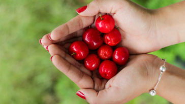 suco de acerola receitas