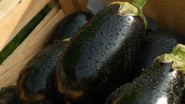 suco de berinjela com limão