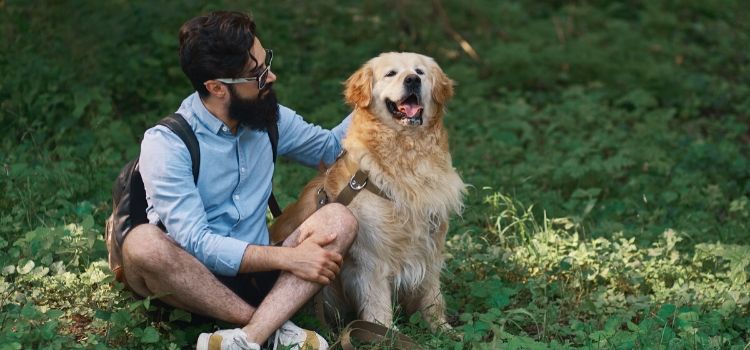 ter um cachorro faz bem para o coração