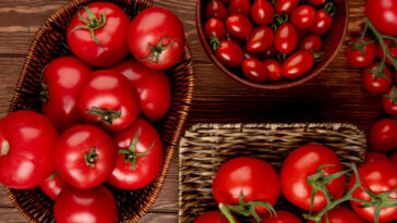 tomate guarda dentro ou fora da geladeira